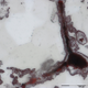 A hematite filament attached to a clump of iron. These clumps were once microbial cells, and are similar to modern microbes found in hydrothermal vent environments. (Image: Matthew Dodd)